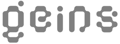 Geins logo