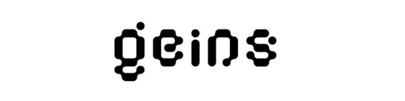 Geins logotype